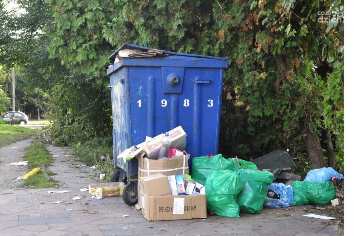 Miasto rozstrzygnęło przetarg na odbiór odpadów
