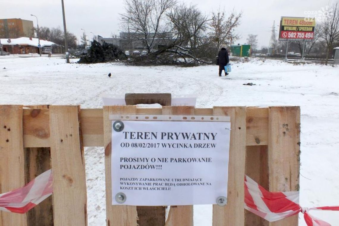 Michałów. Wycięli drzewa przy rondzie