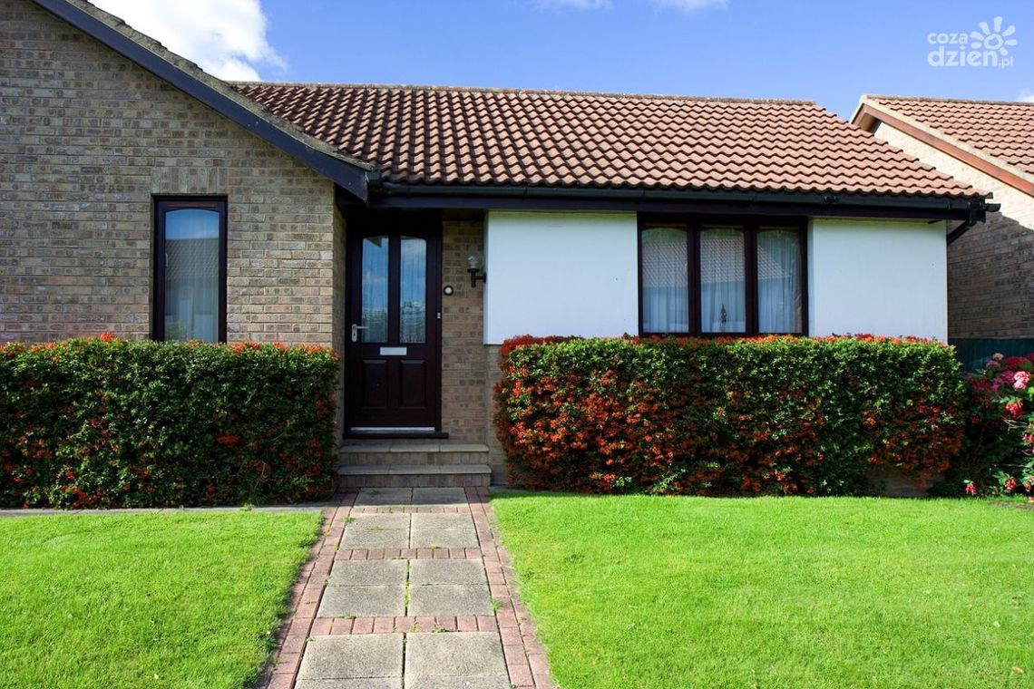 Mieszanka traw odpornych na suszę – która najlepsza? Mieszanka traw odpornych na suszę – która najlepsza?