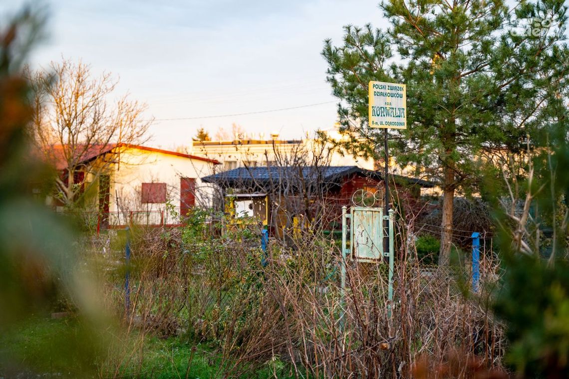 Milion dla działkowców