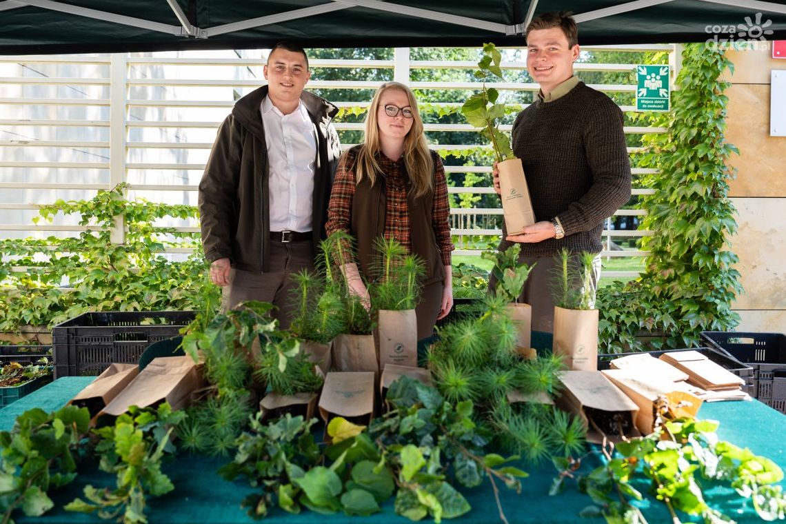 Milion drzew za darmo. Odbiór w nadleśnictwie Milion drzew za darmo. Odbiór w nadleśnictwie
