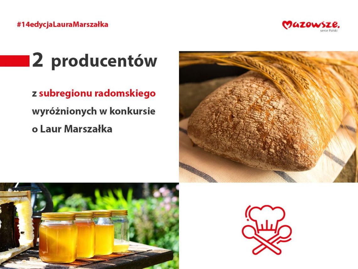 Miód spadziowy z Laurem Marszałka