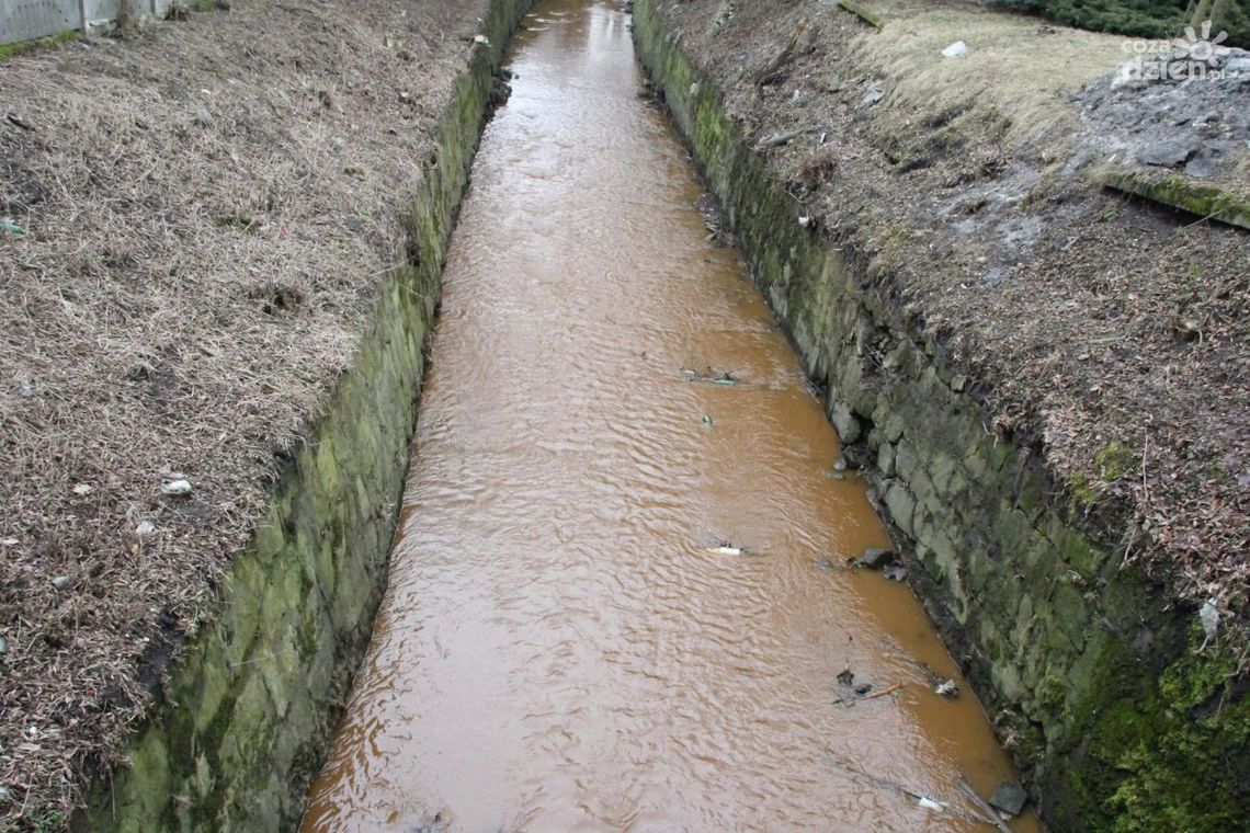 Mleczna rdzą płynąca?