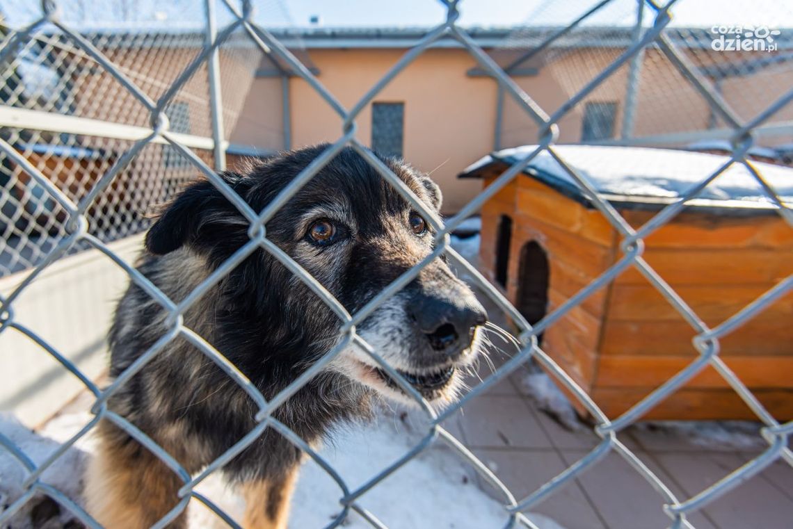 Młoda Lewica z dwoma wnioskami do BO 2022