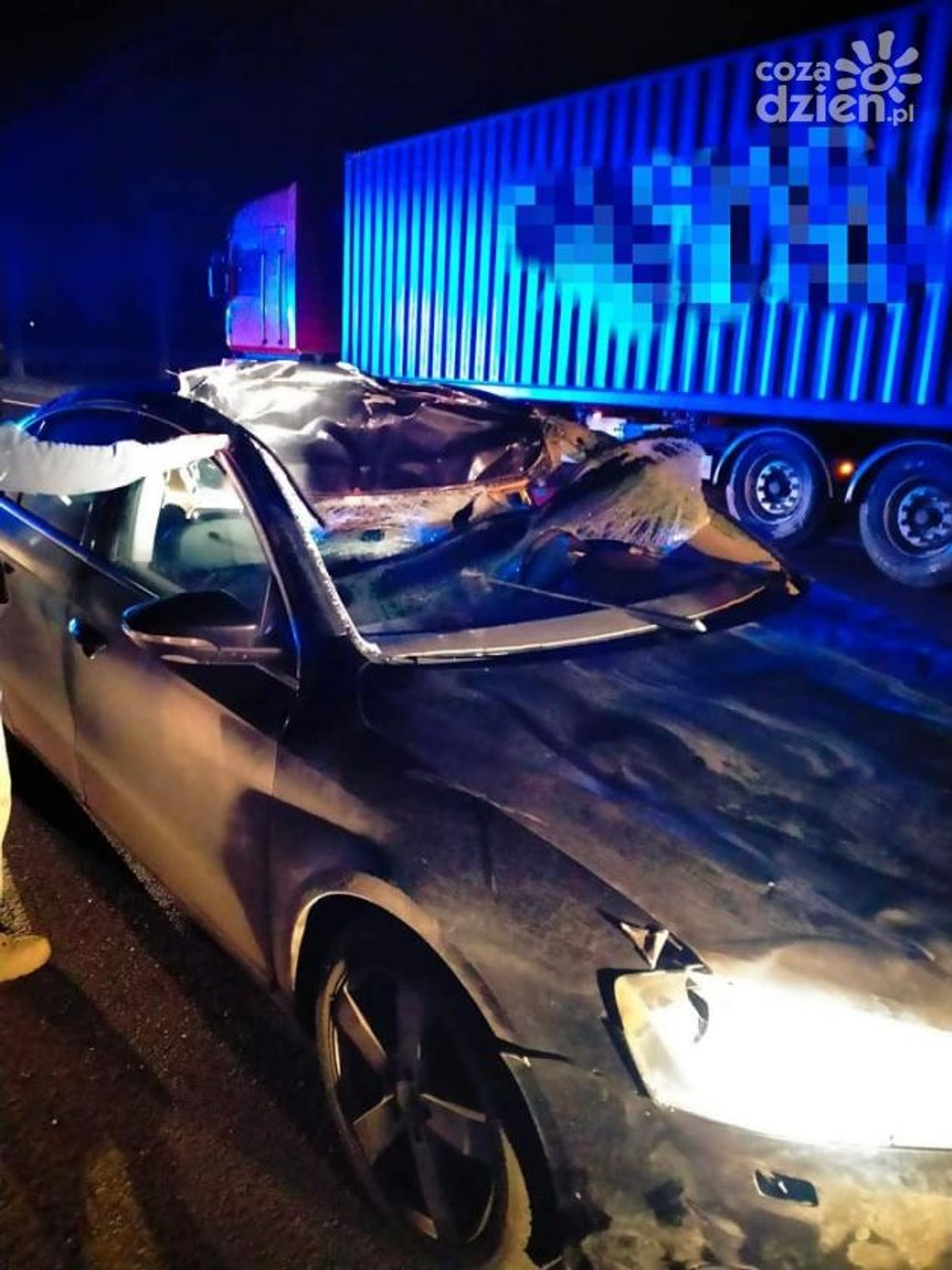 Młodocin Mniejszy. Auto uderzyło w łosia (zdjęcia)
