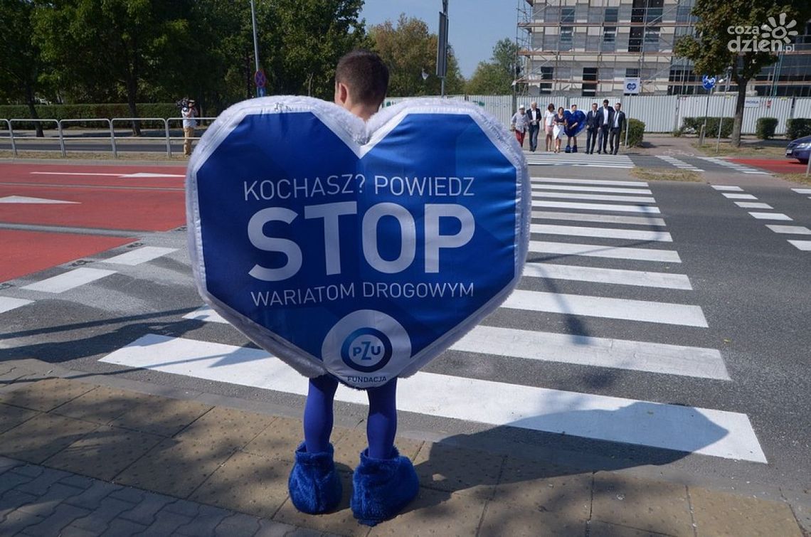 Modernizacja przejścia na ul. Warszawskiej Modernizacja przejścia na ul. Warszawskiej