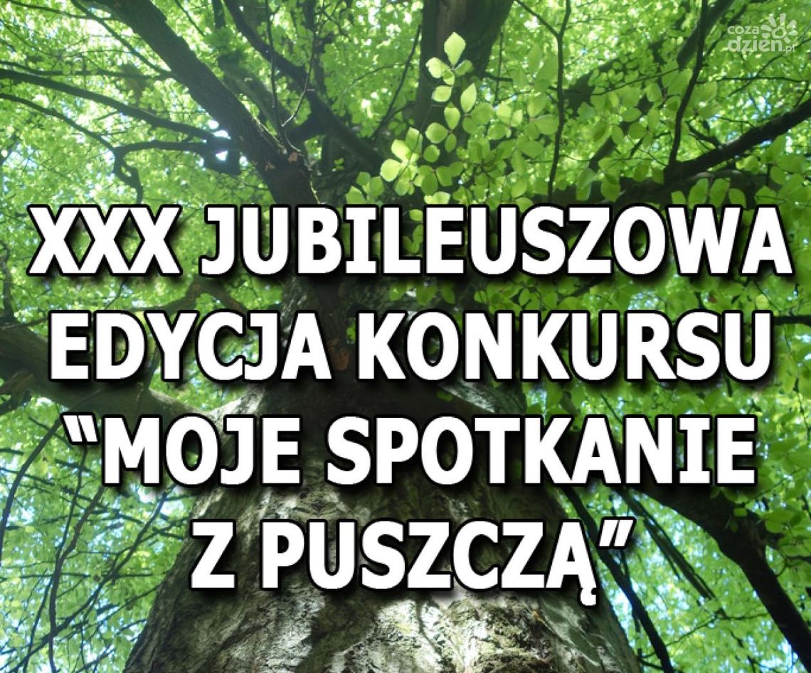 Moje spotkanie z puszczą