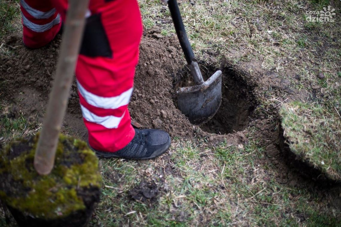 Możesz odpracować zaległości czynszowe Możesz odpracować zaległości czynszowe