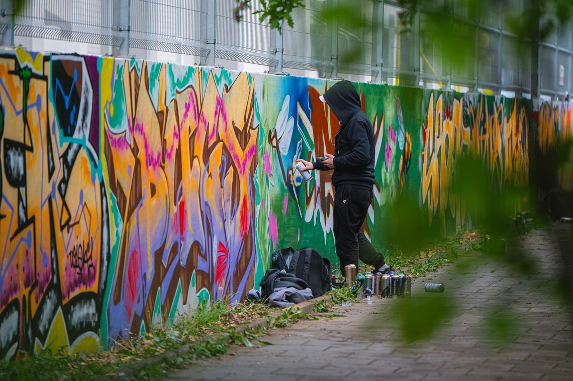 Mural powstanie na oczach mieszkańców. Street art w Parku Leśniczówka