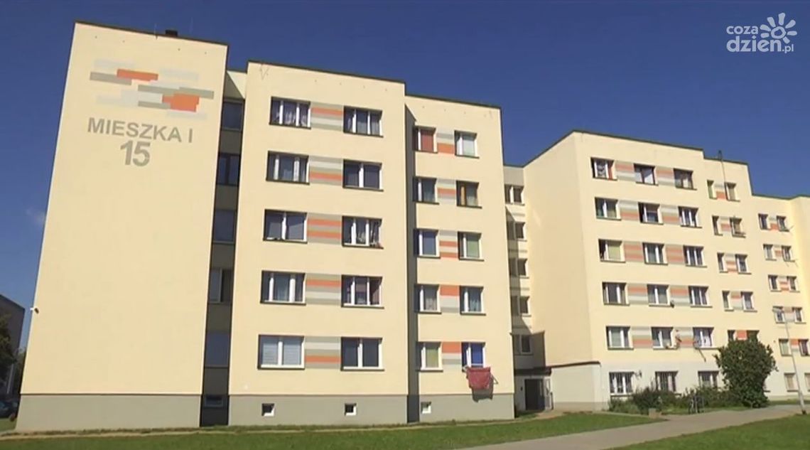 MZL kontra samotna matka. Sprawa ma drugie dno?