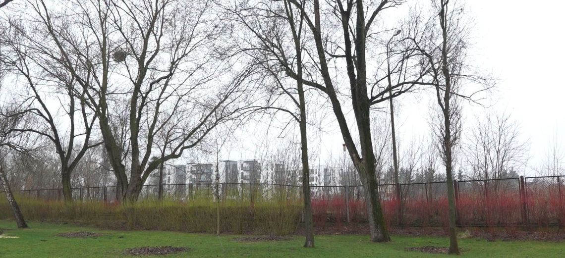 Na dawnym Starcie nie powstaną na razie nowe bloki Na dawnym Starcie nie powstaną na razie nowe bloki