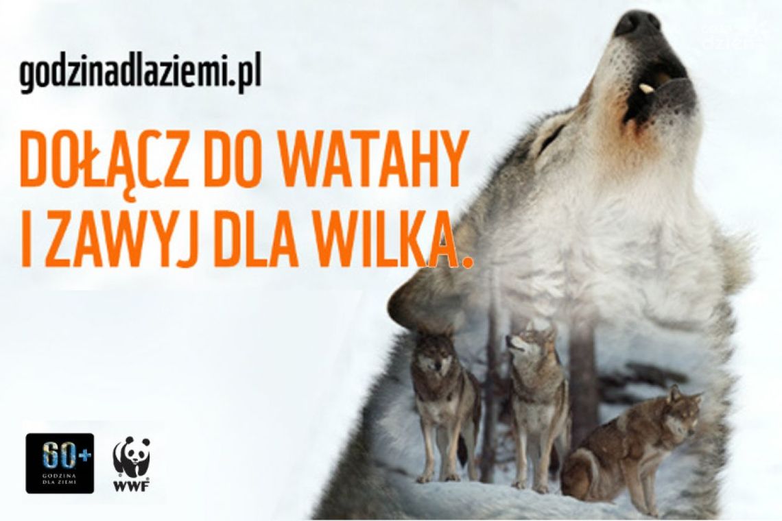 Na godzinę zgasną światła