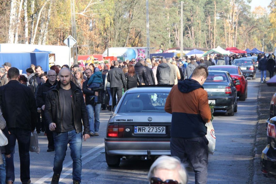 Na groby najlepiej autobusem