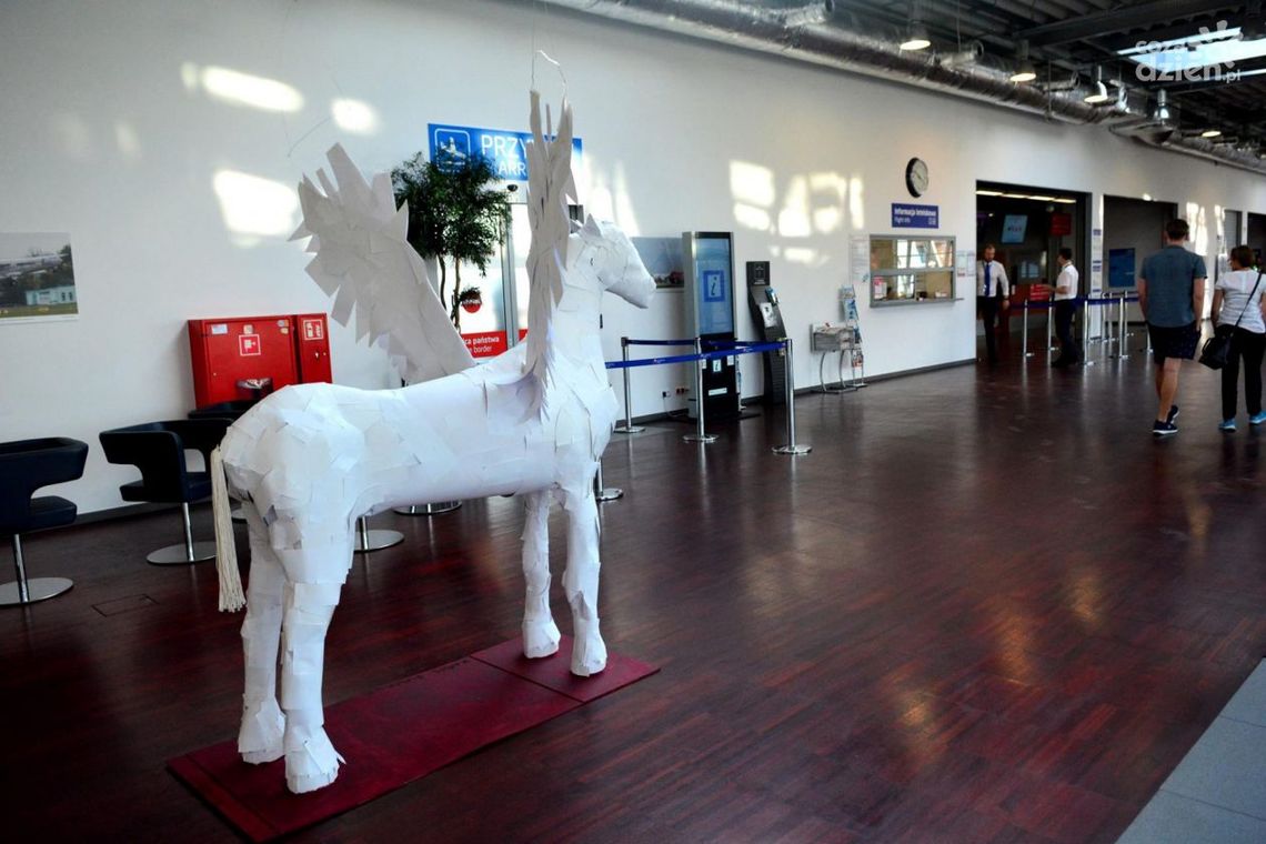 Na lotnisku wylądował biały koń