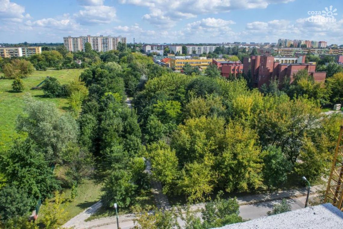 Na Michałowie powstanie park