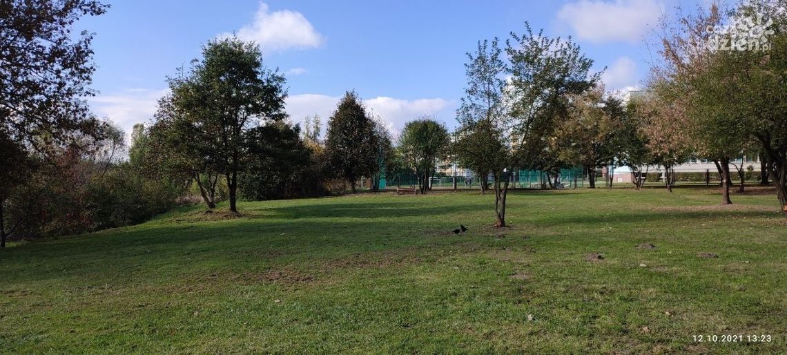 Na Południu powstanie wybieg dla psów