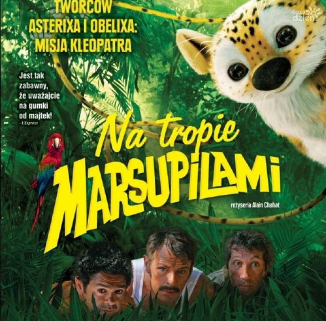 Na tropie Marsupilami