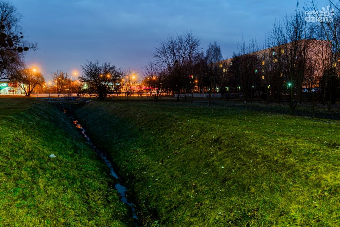 Na Ustroniu powstanie zielony skwer edukacyjny Na Ustroniu powstanie zielony skwer edukacyjny