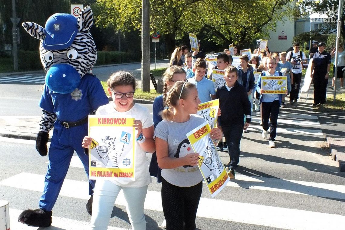 Na zebrach nie polujemy