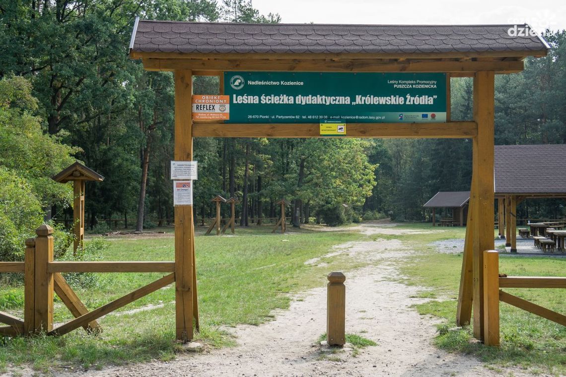 Nadleśnictwo Kozienice wprowadza zmiany Nadleśnictwo Kozienice wprowadza zmiany