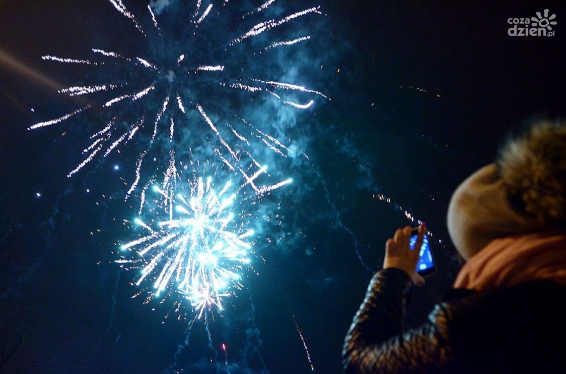 Najciekawsze zdjęcia 2015 roku!