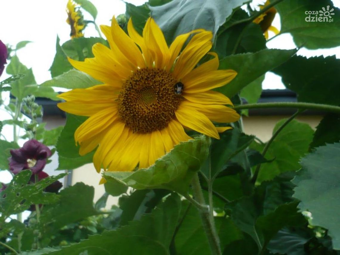 Najlepsze agencje w mieście Najlepsze agencje w mieście