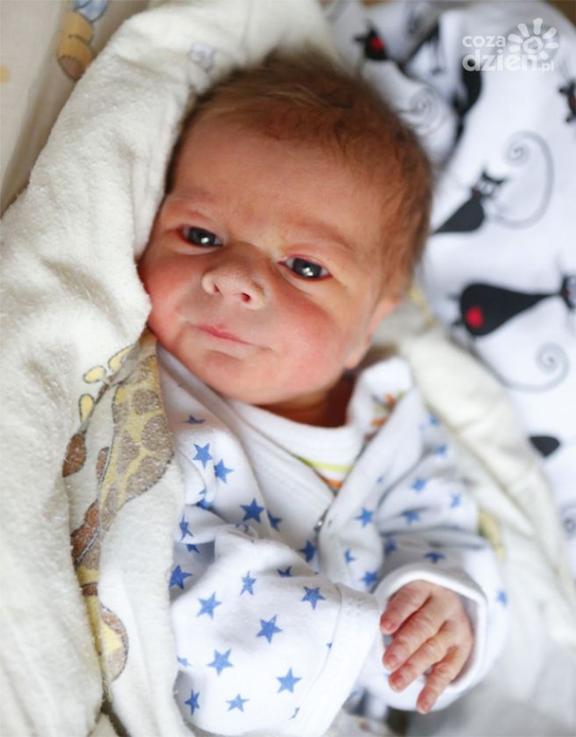 Najmłodsi Radomianie - zdjęcia dzieci ur. 20 grudnia