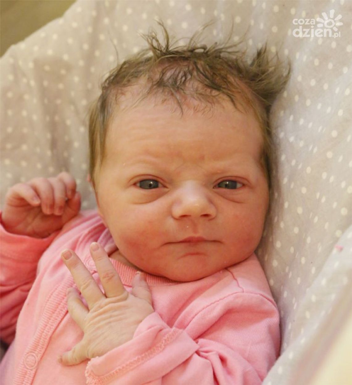 Najmłodsi radomianie - zdjęcia dzieci ur. 26 lutego