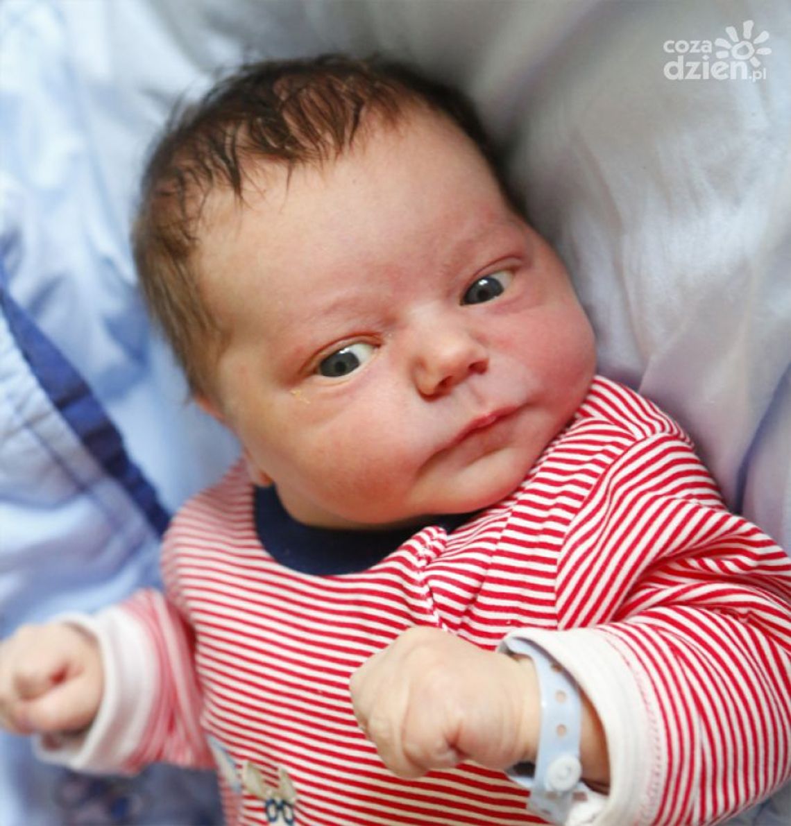 Najmłodsi radomianie - zdjęcia dzieci ur. 7 marca 