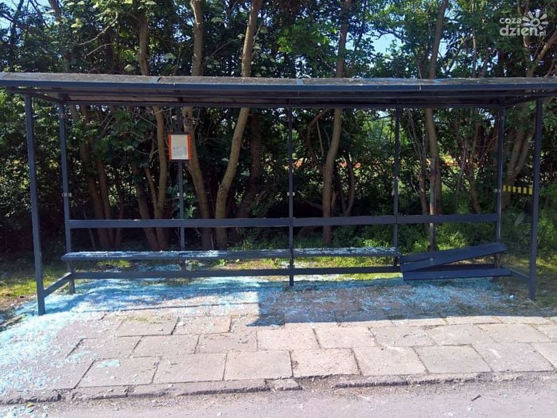 Najmniej dewastacji od lat 