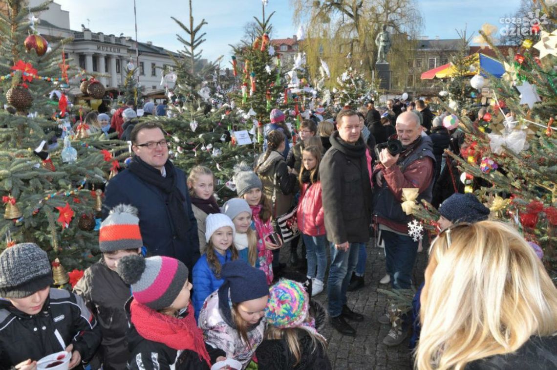Najpiękniejsza choinka wybrana