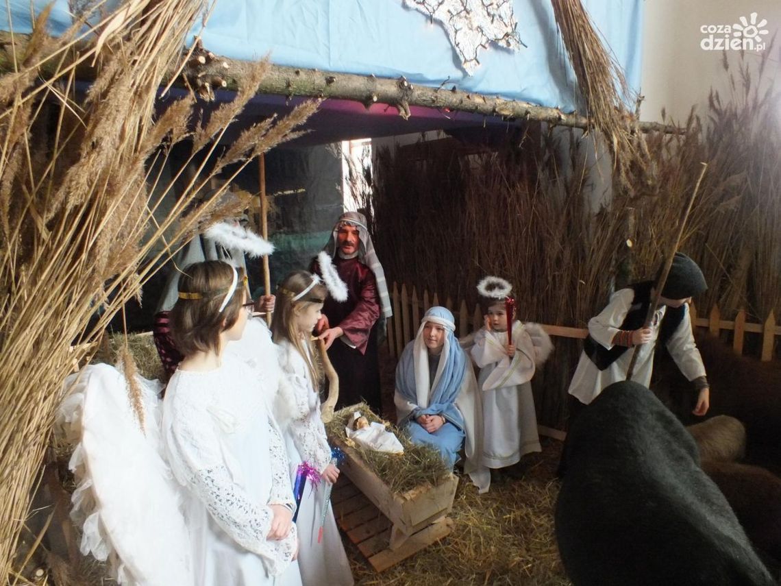 Najpiękniejsze radomskie szopki Najpiękniejsze radomskie szopki