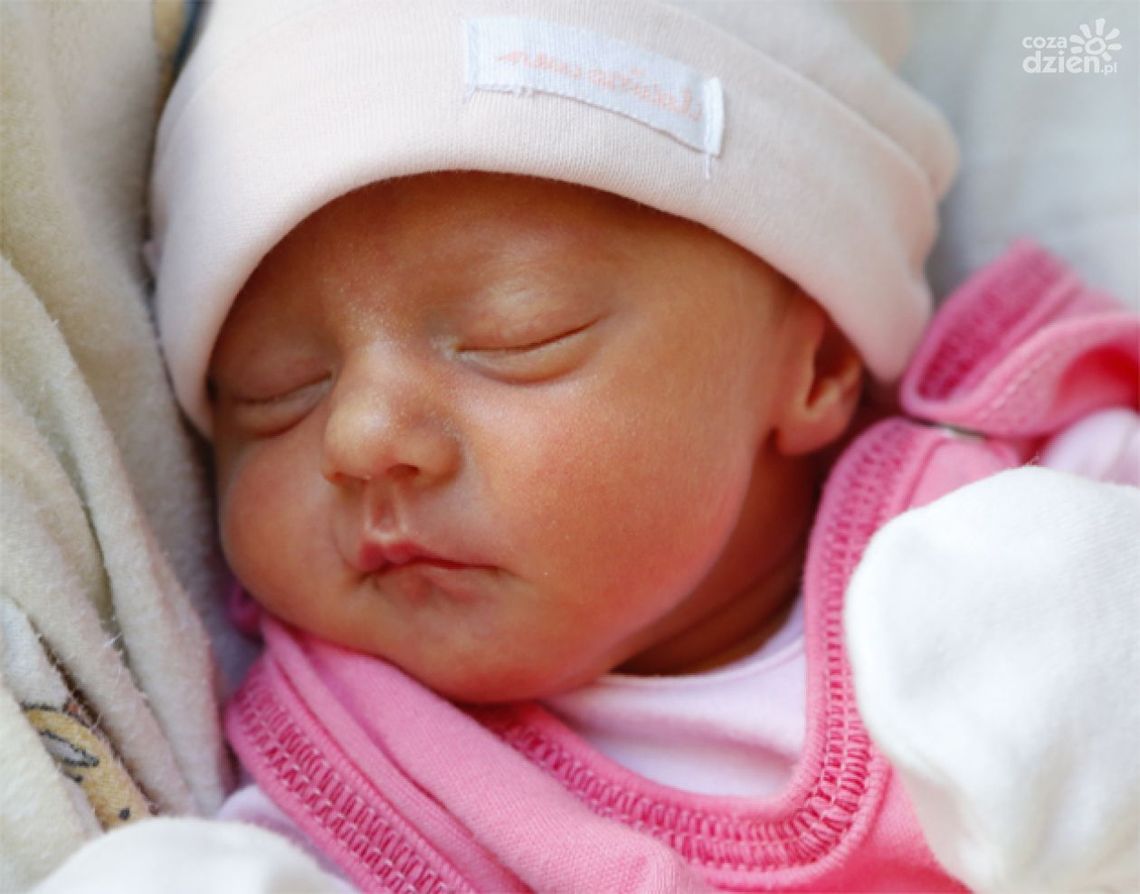 Najpopularniejsze imiona w 2016 roku Najpopularniejsze imiona w 2016 roku