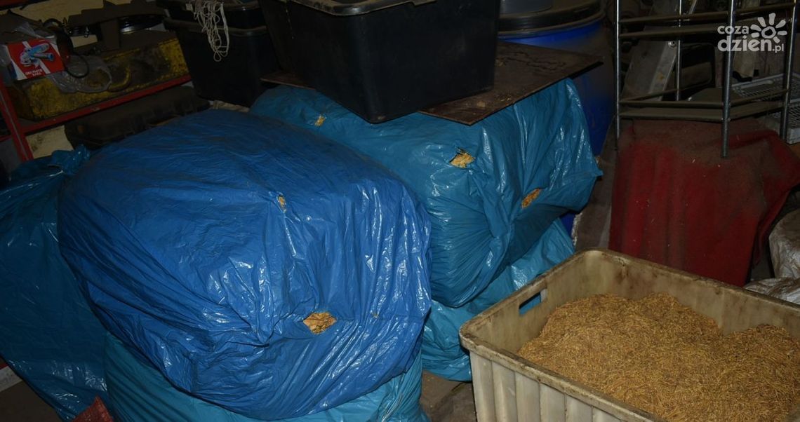 Naraził Skarb Państwa na stratę ponad 600 tys. zł Naraził Skarb Państwa na stratę ponad 600 tys. zł