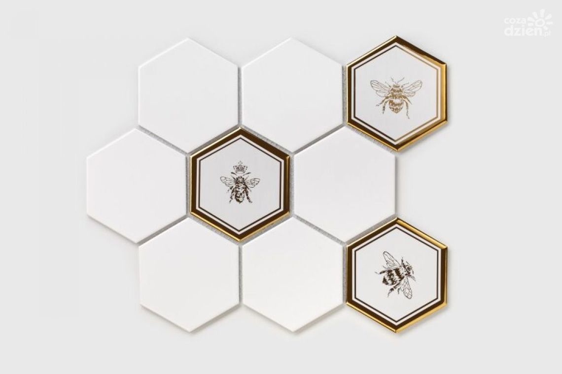 Natura w Twoim wnętrzu — może w formie wyjątkowej mozaiki?