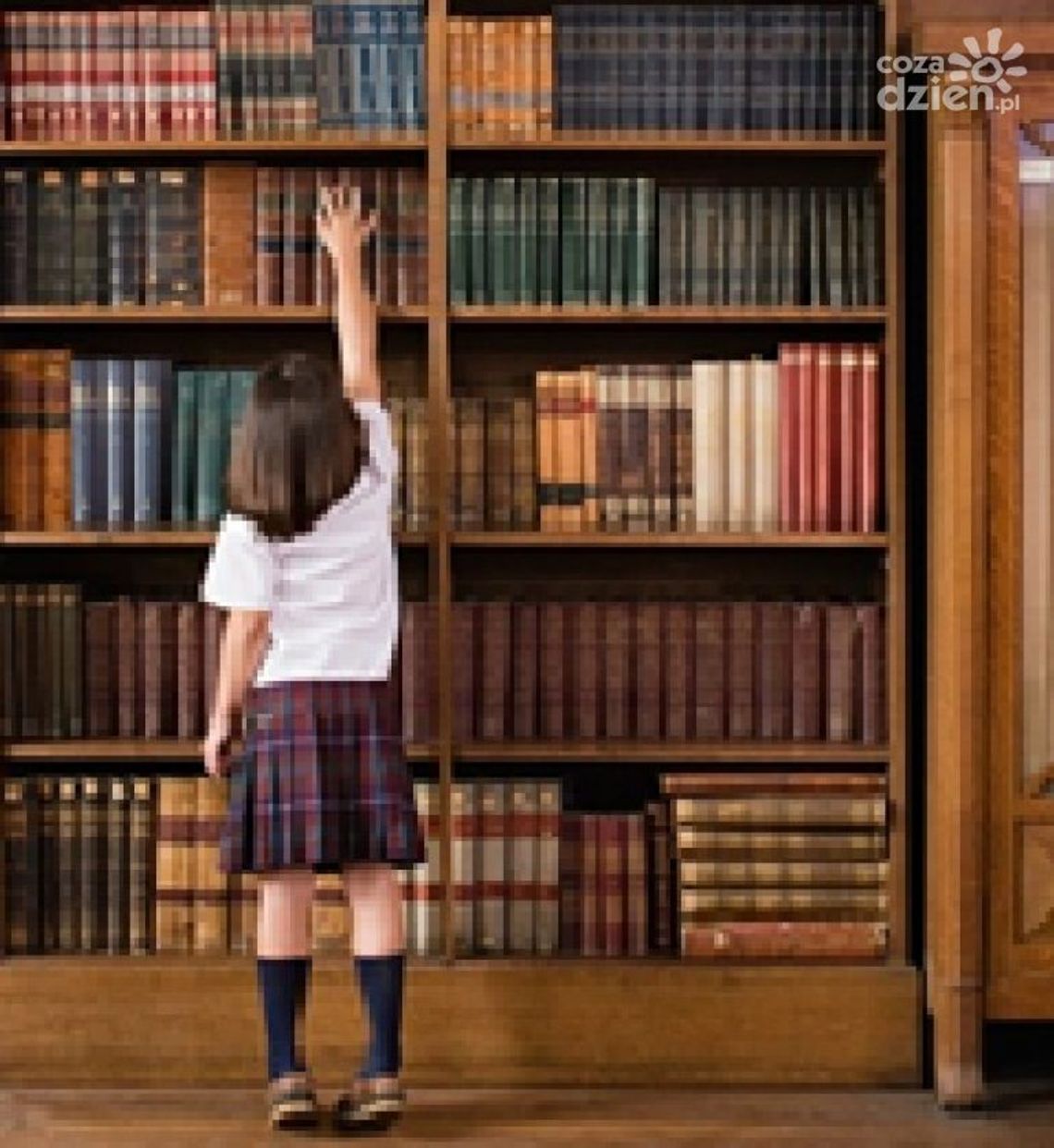 Nauka kluczem do sukcesu!