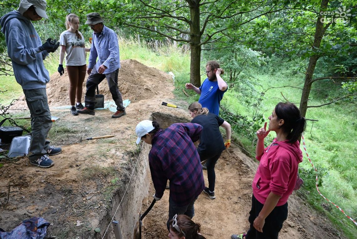 Neandertalczyk w Zwoleniu. Koniec pierwszego etapu prac