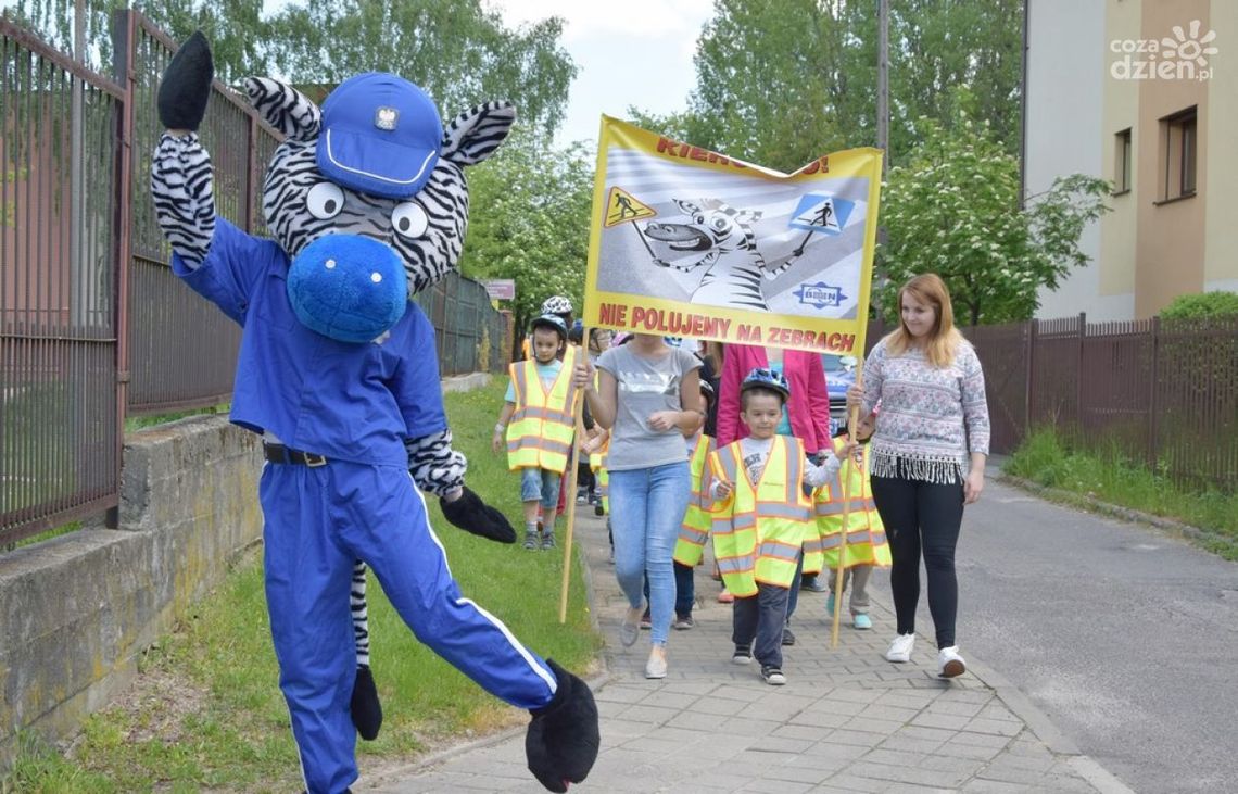 Nie polowali na zebrach