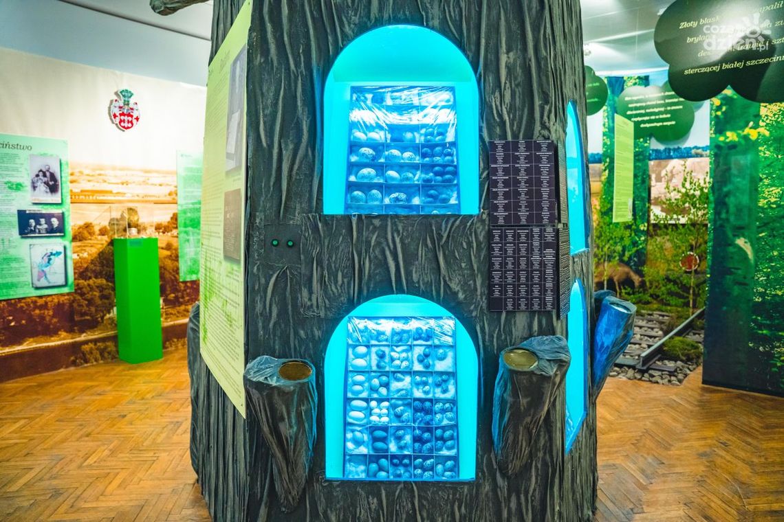 Nie tylko dla miłośników przyrody Nie tylko dla miłośników przyrody