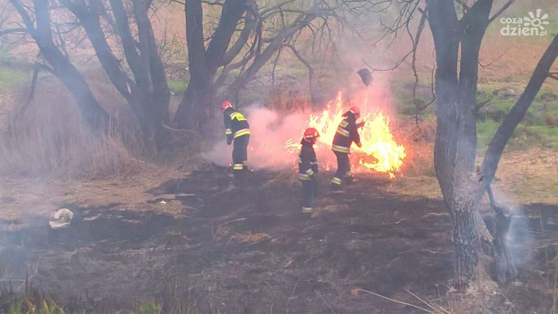 Nie wypalajmy traw! Ciężka niedziela strażaków Nie wypalajmy traw! Ciężka niedziela strażaków