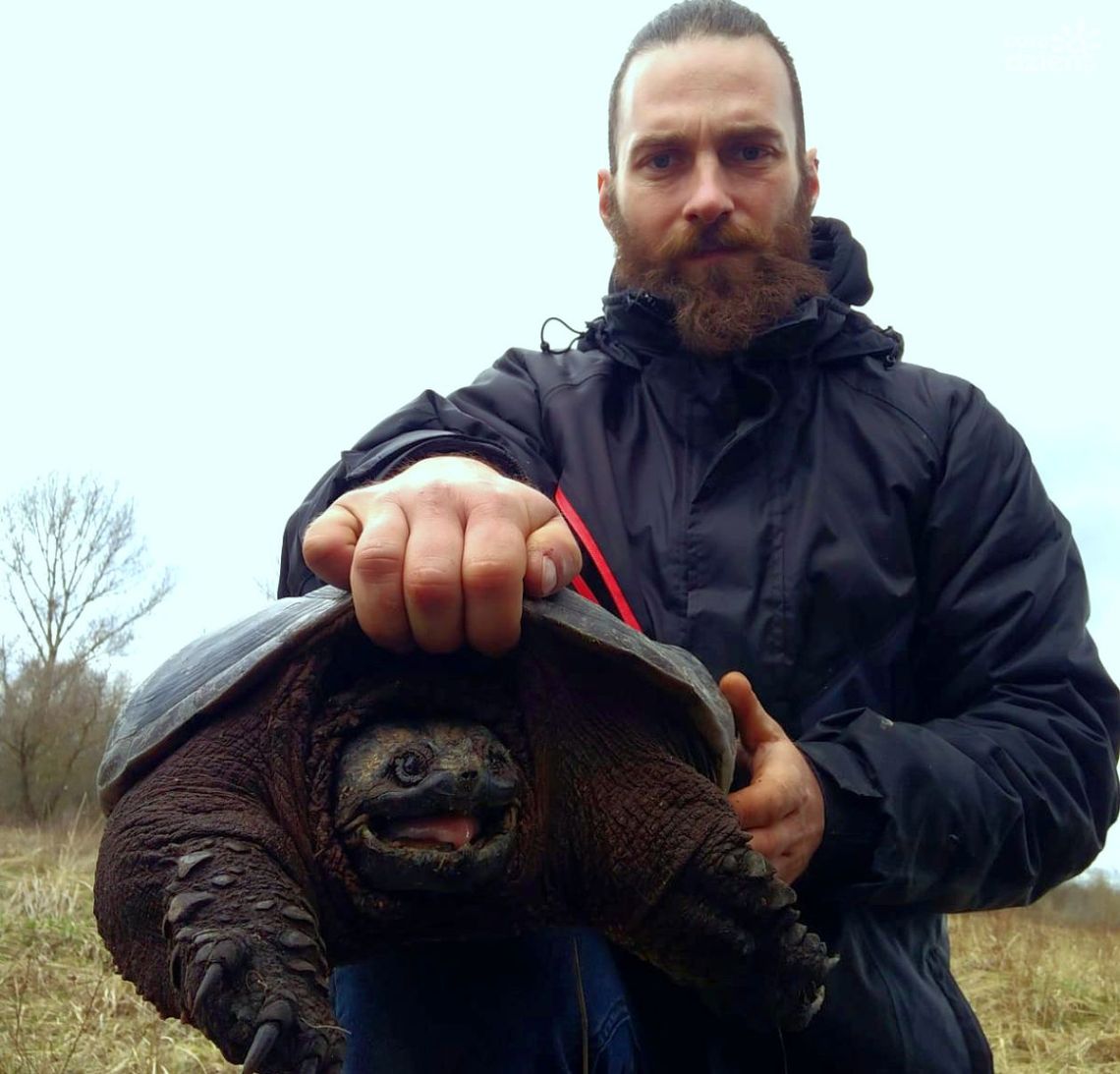 Niebezpieczny żółw w powiecie grójeckim