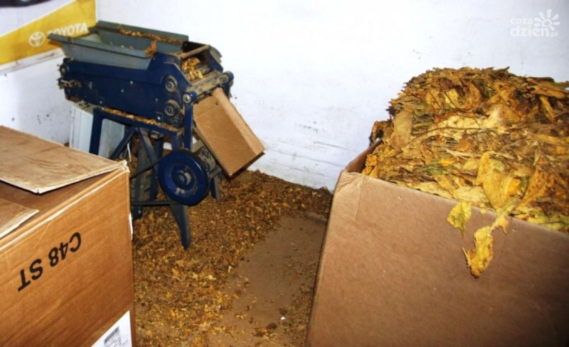 Nielegalne fabryki papierosów zlikwidowane