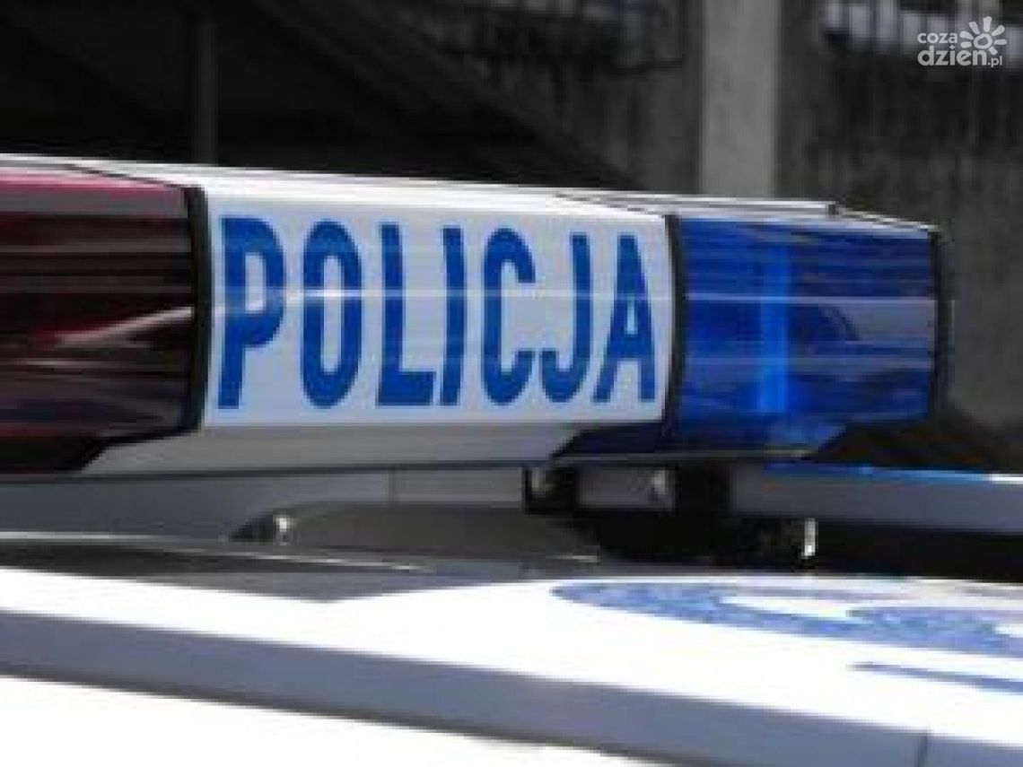 Nieletni ukradli alkohol i zaatakowali pracownika ochrony