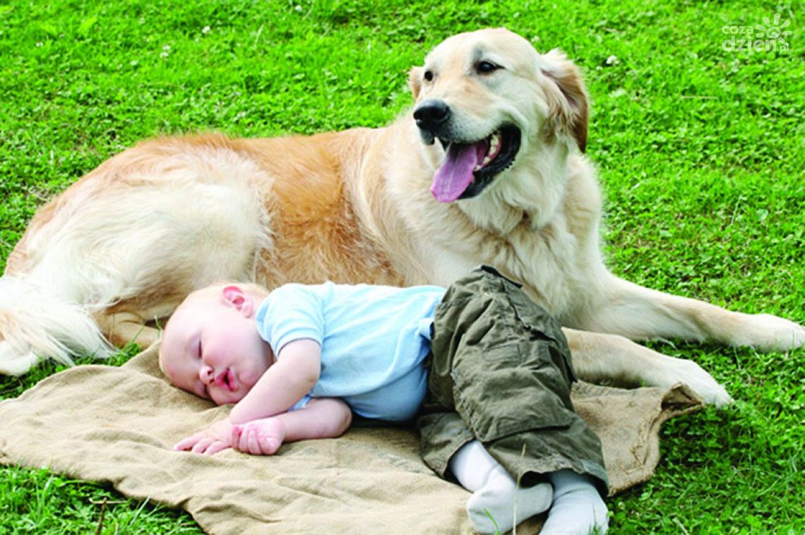 Niemowlę i pies - jak oszczędzić stresu sobie, dziecku i zwierzęciu