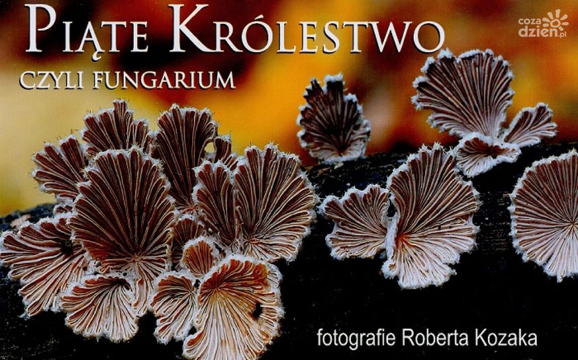 Nietypowa wystawa w Malczewskim