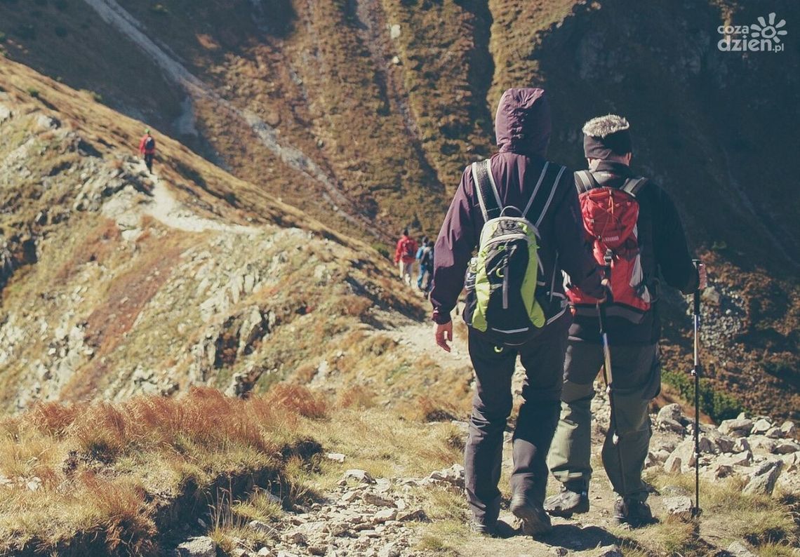 Niezawodny ekwipunek dla pasjonatów outdooru - co warto kupić w sklepie militarnym? Niezawodny ekwipunek dla pasjonatów outdooru - co warto kupić w sklepie militarnym?