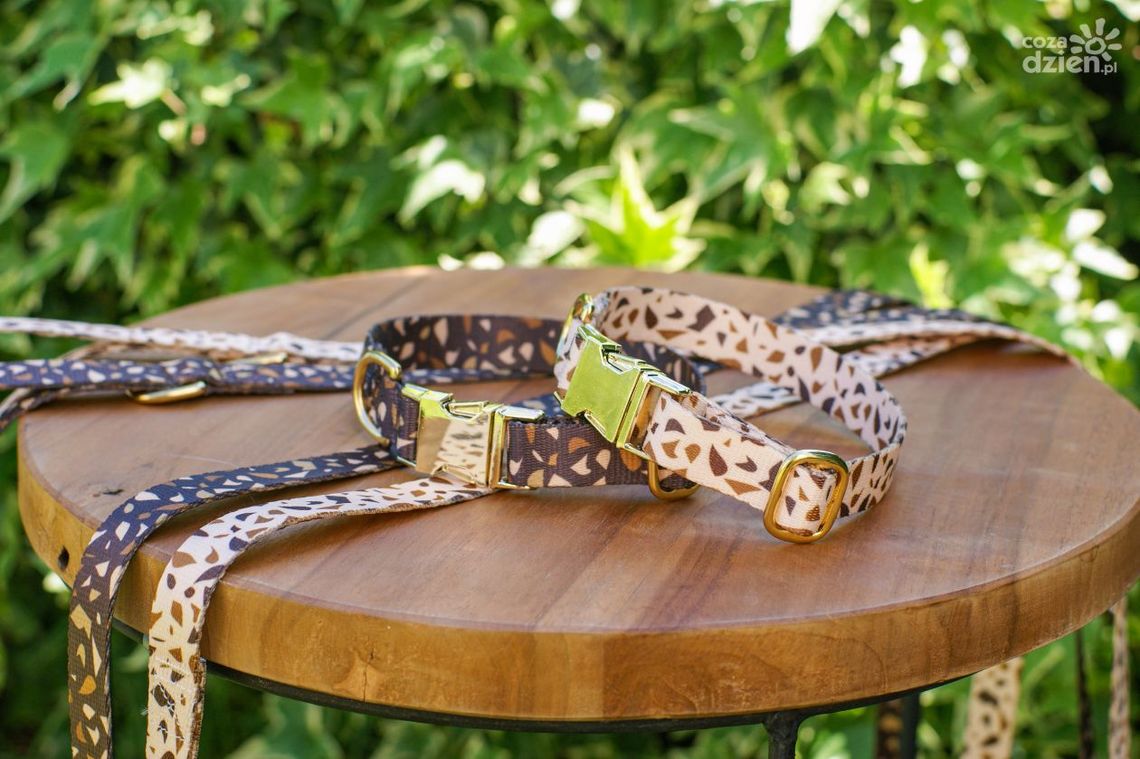 Niezbędne akcesoria dla każdego psa 