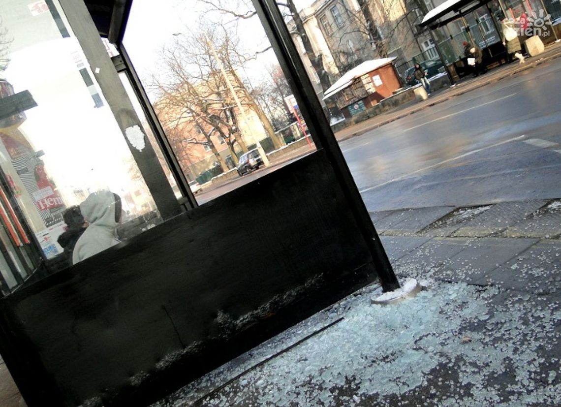 Niszczyli przystankową wiatę. Co roku miasto traci przez wandali