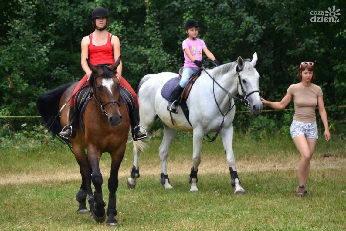 NJFAJNIEJSI PÓŁKOLONIŚCI: ZSI