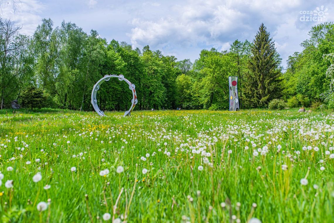Noc Muzeów w biały dzień